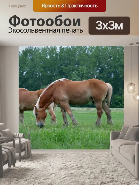 Фотообои Животные