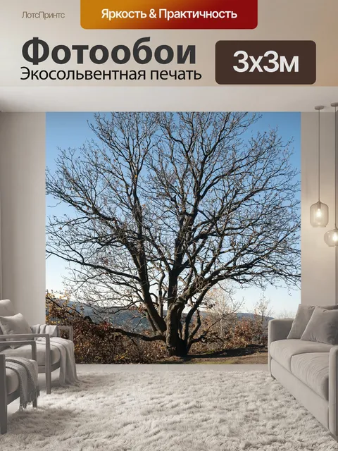 Фотообои Дерево