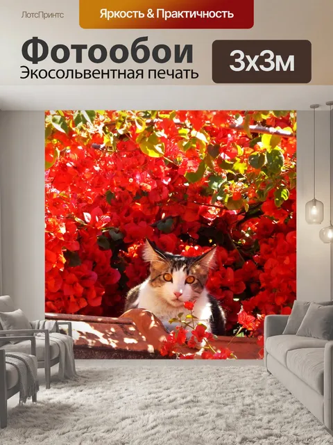 Фотообои Кошка
