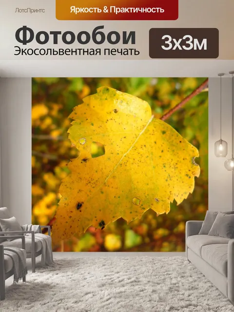 Фотообои Березовый лист