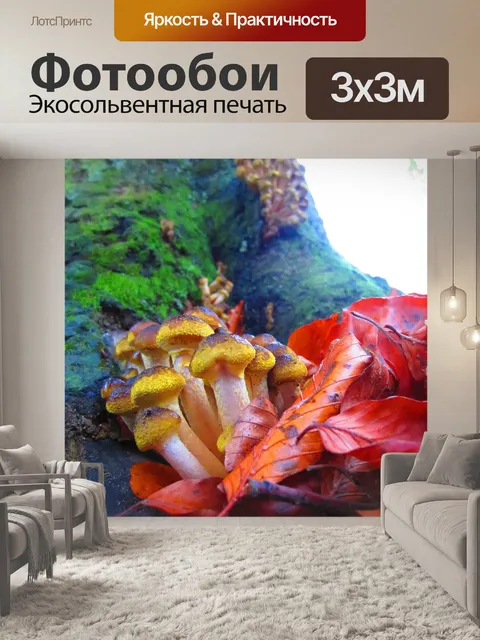 Фотообои Грибы