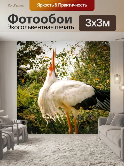 Фотообои Аист