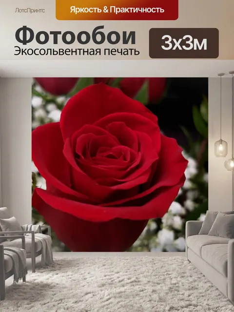 Фотообои Глубокая красная роза