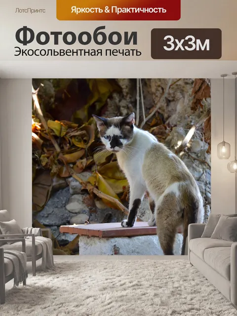 Фотообои Природа