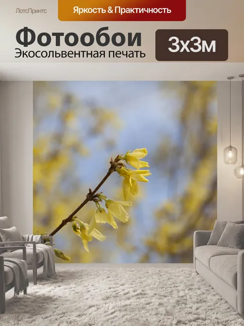 Фотообои Форсайтия