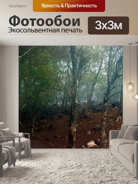 Фотообои Туманный лес 6