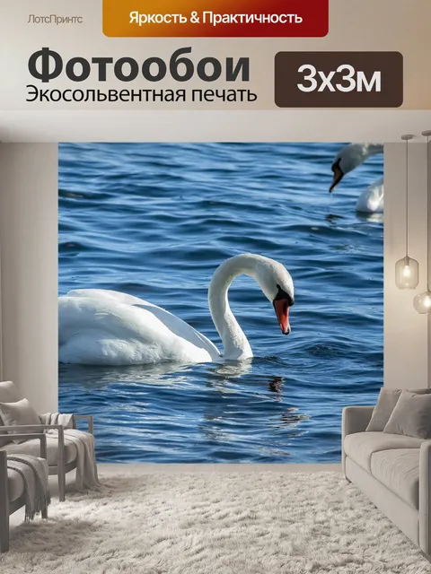 Фотообои Лебеди