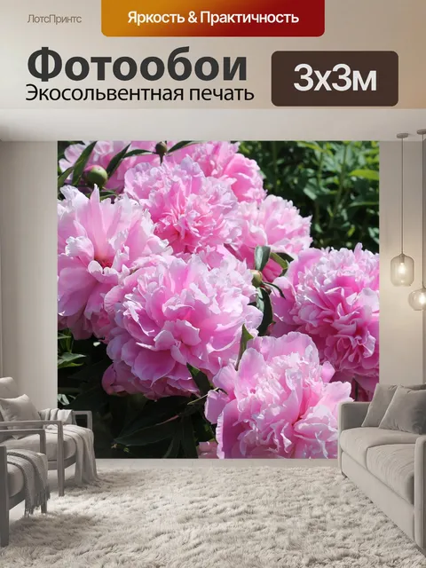 Фотообои Пионы