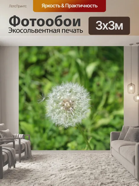 Фотообои Цветок