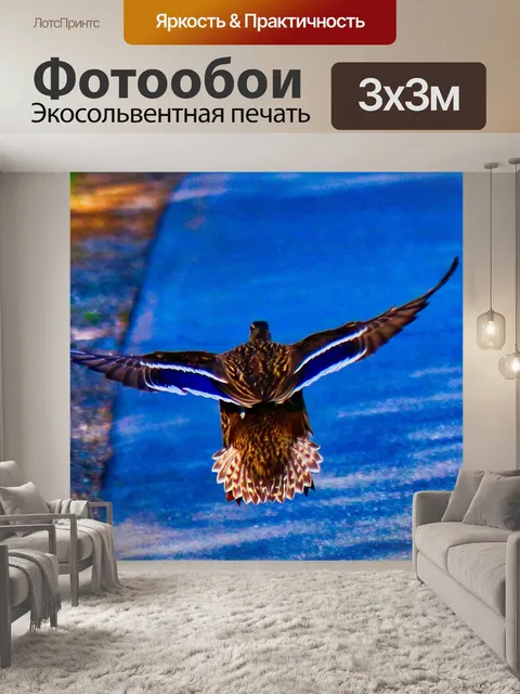 Фотообои Утка