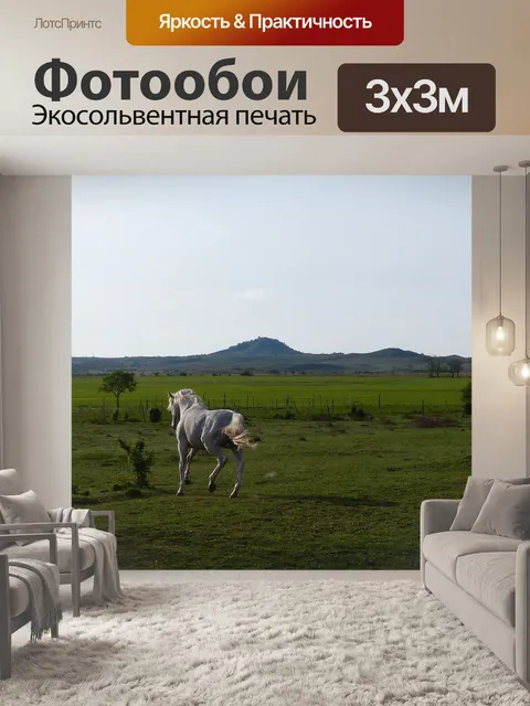 Фотообои Грей