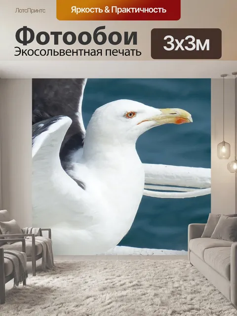 Фотообои Птица