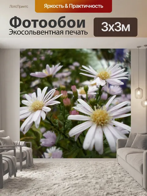 Фотообои Белый цветок желтый пестик