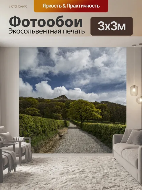 Фотообои Розберри Топпинг
