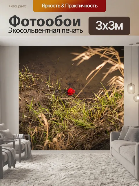 Фотообои Роза