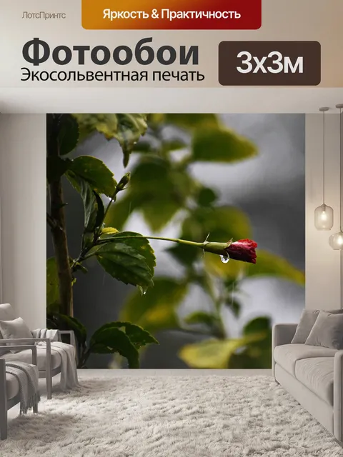 Фотообои Дожди