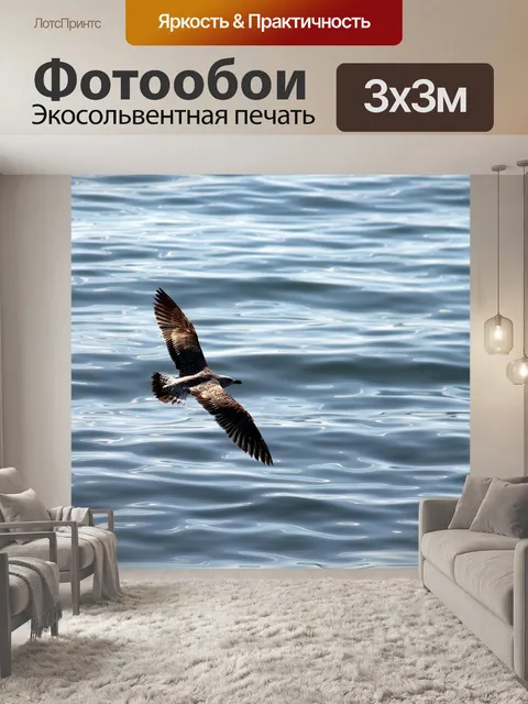 Фотообои Чайки