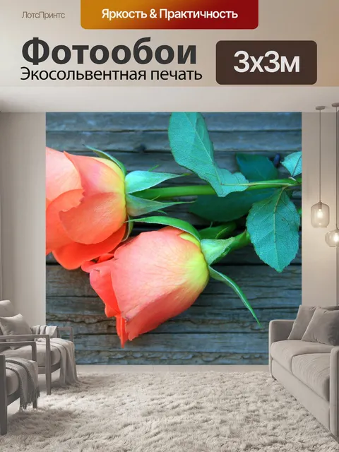 Фотообои два оранжевых роз