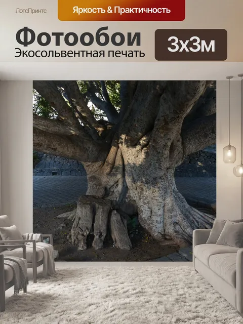 Фотообои Дерево