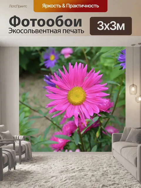 Фотообои Цветы
