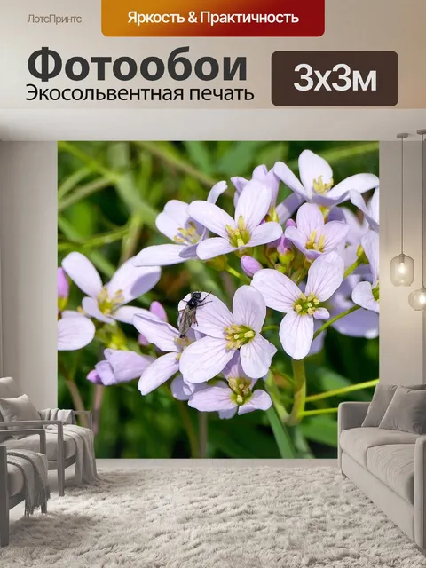 Фотообои Природа