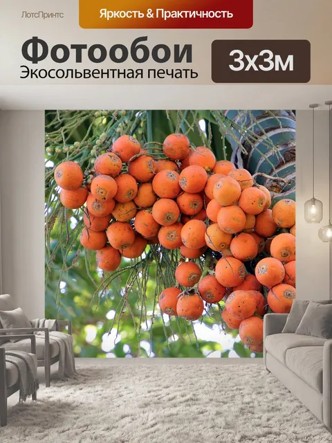 Фотообои Дерево арека