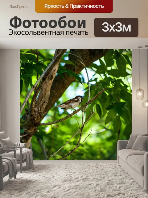 Фотообои Птица
