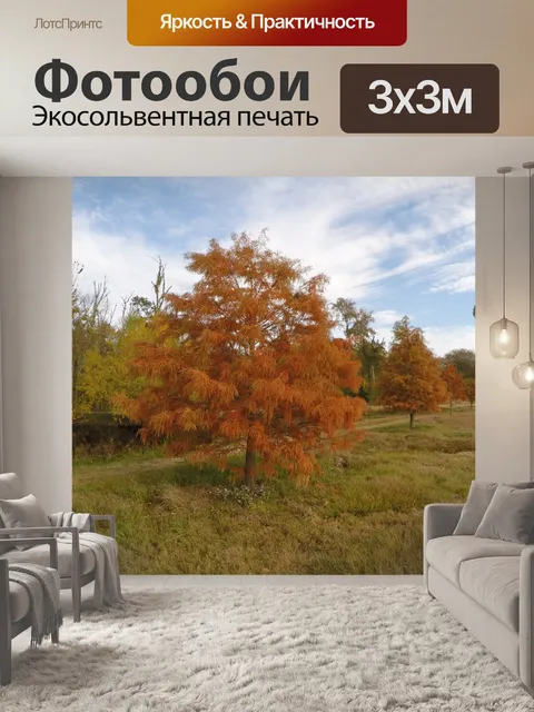 Фотообои Оранжевые Осенние листья