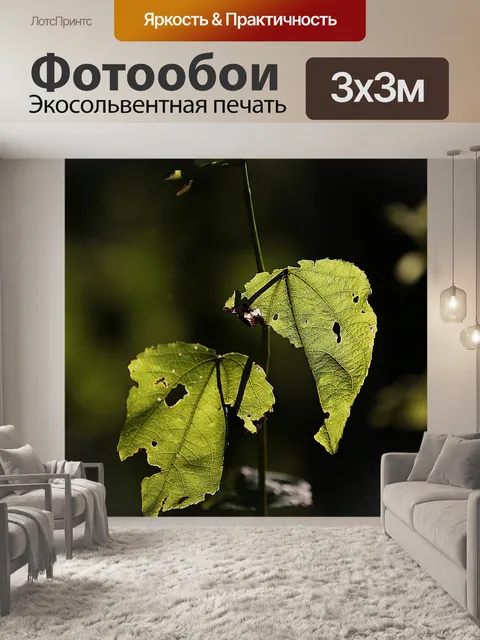Фотообои Макро