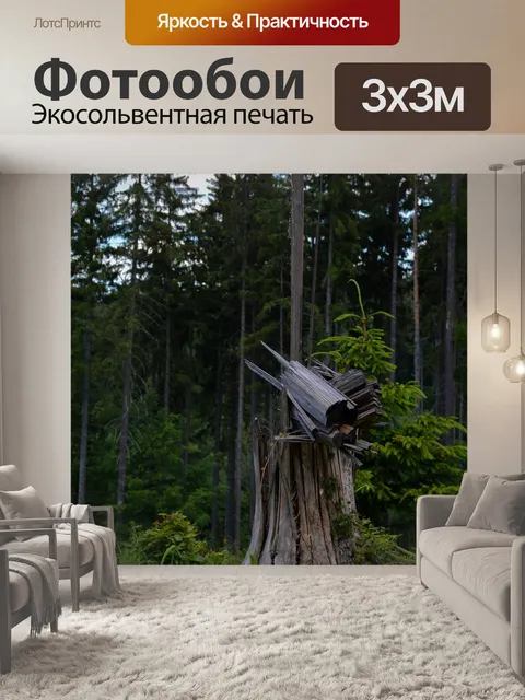 Фотообои Дерево