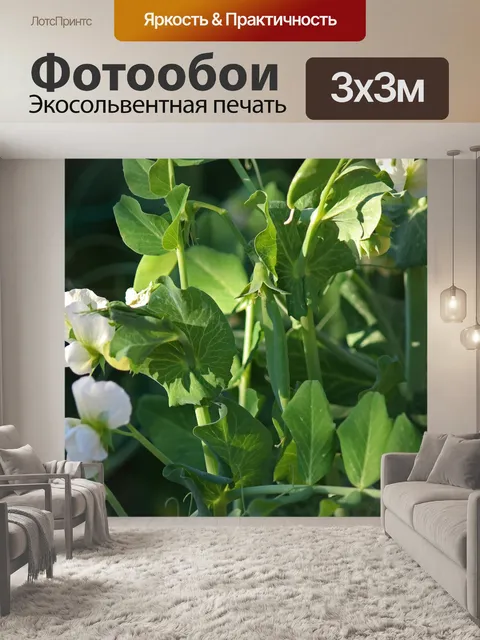 Фотообои зеленый горошек с белыми цветами