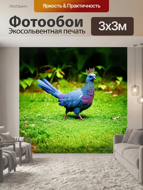 Фотообои венценосный голубь, мирно прогуливающийся по изумрудной траве, выглядит как внеземное существо