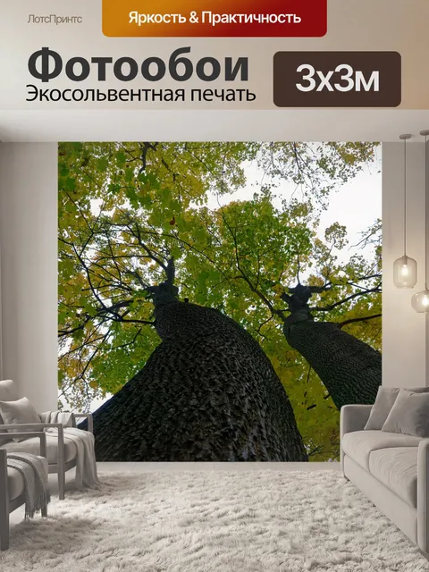 Фотообои Деревья