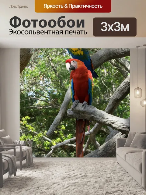 Фотообои Птица