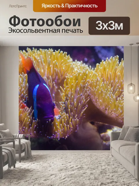 Фотообои Подводные растений и рыб