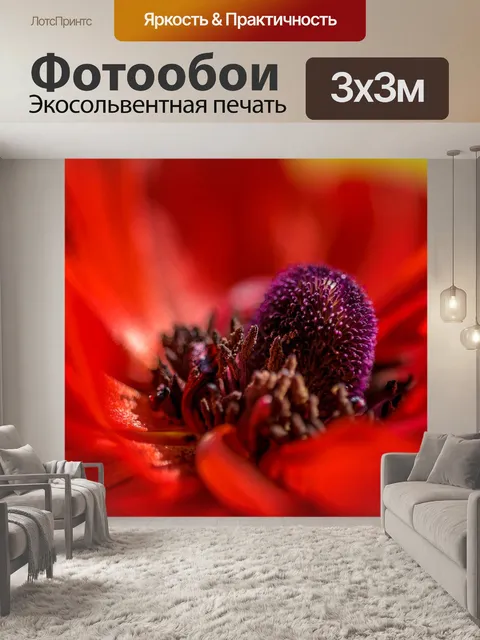 Фотообои Мак