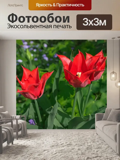 Фотообои Цветок