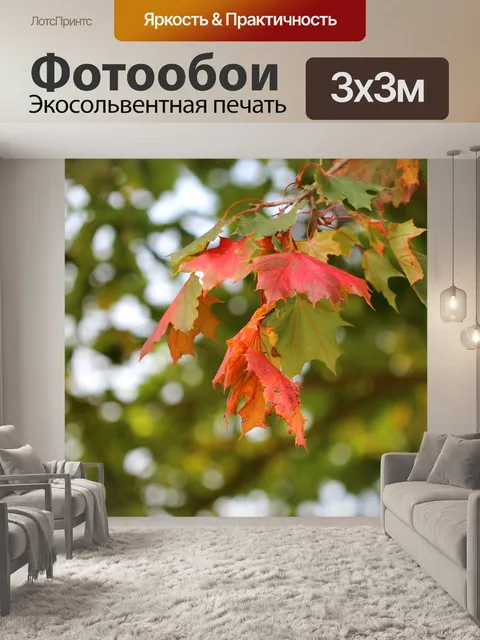 Фотообои Клен