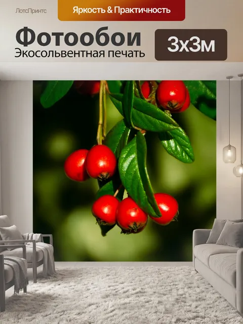 Фотообои Красные ягоды