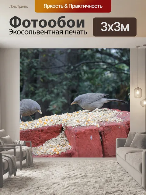 Фотообои Птицы