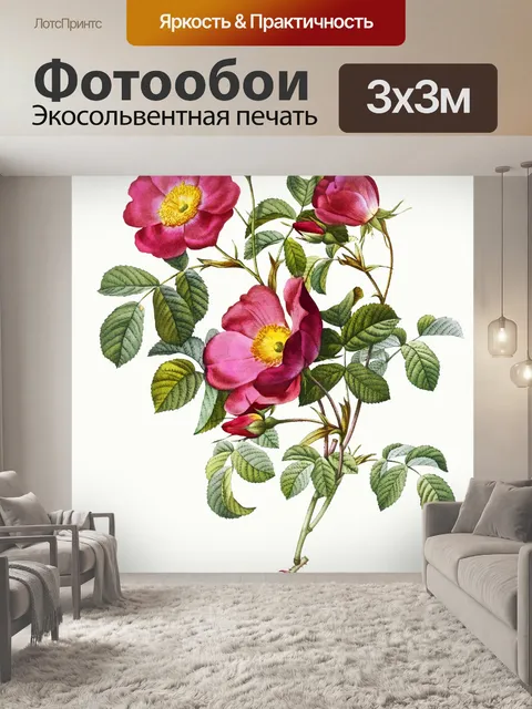 Фотообои Нарисованный цветок розы