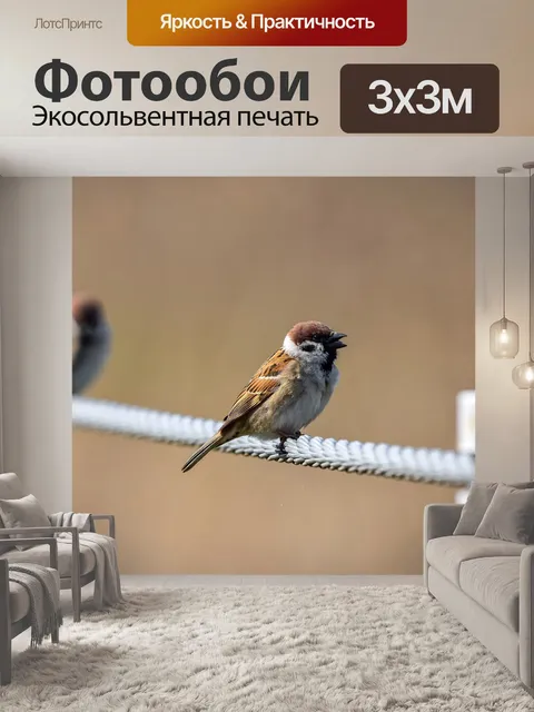 Фотообои Животное