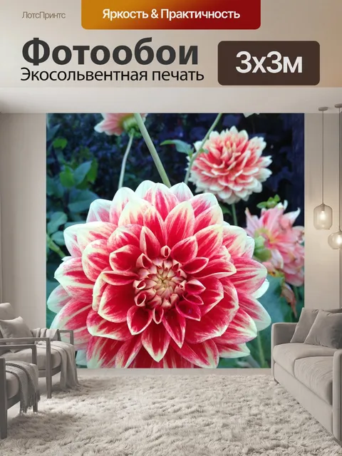 Фотообои Цветы
