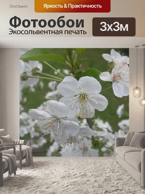 Фотообои Цветы