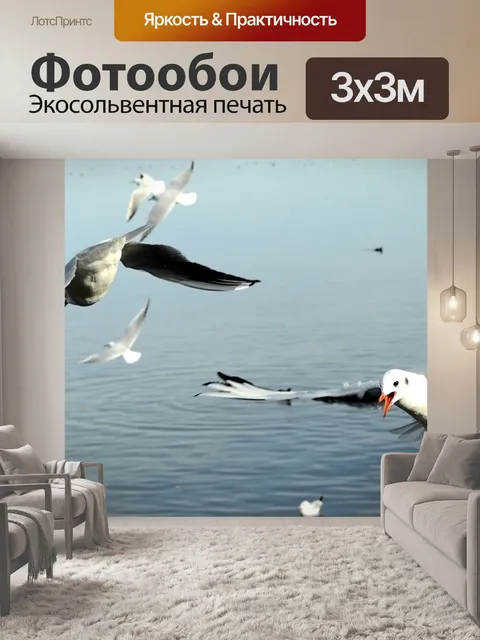 Фотообои Чайки