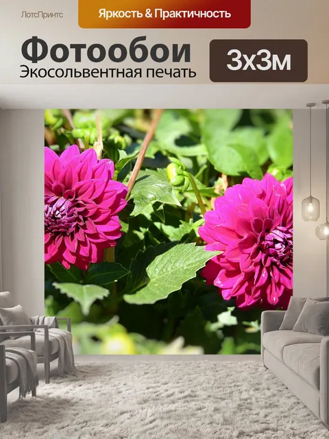Фотообои Цветы