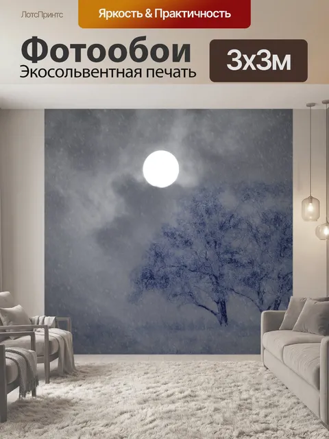 Фотообои Ночь