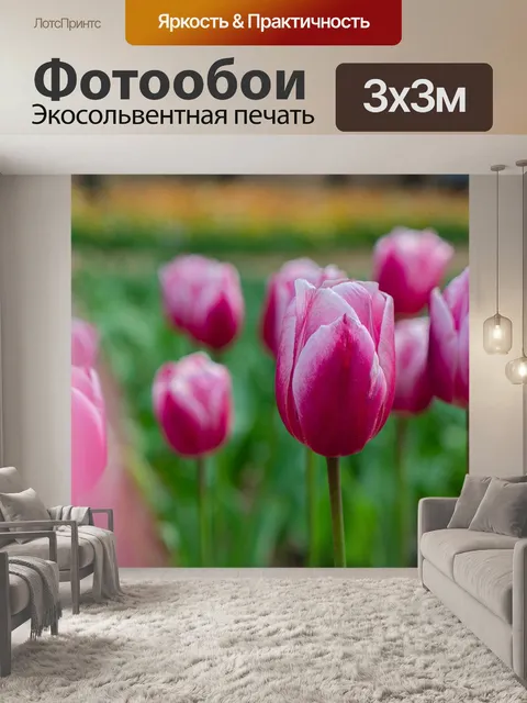 Фотообои Тюльпаны
