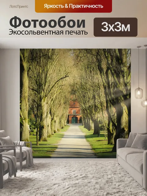 Фотообои Дорожка