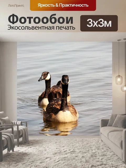 Фотообои Два крупного рогатого медведя в Канаде